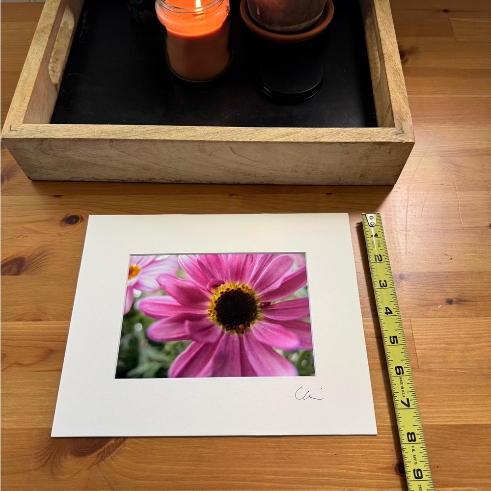 New Original Signed Photography - Picture 3 of 4